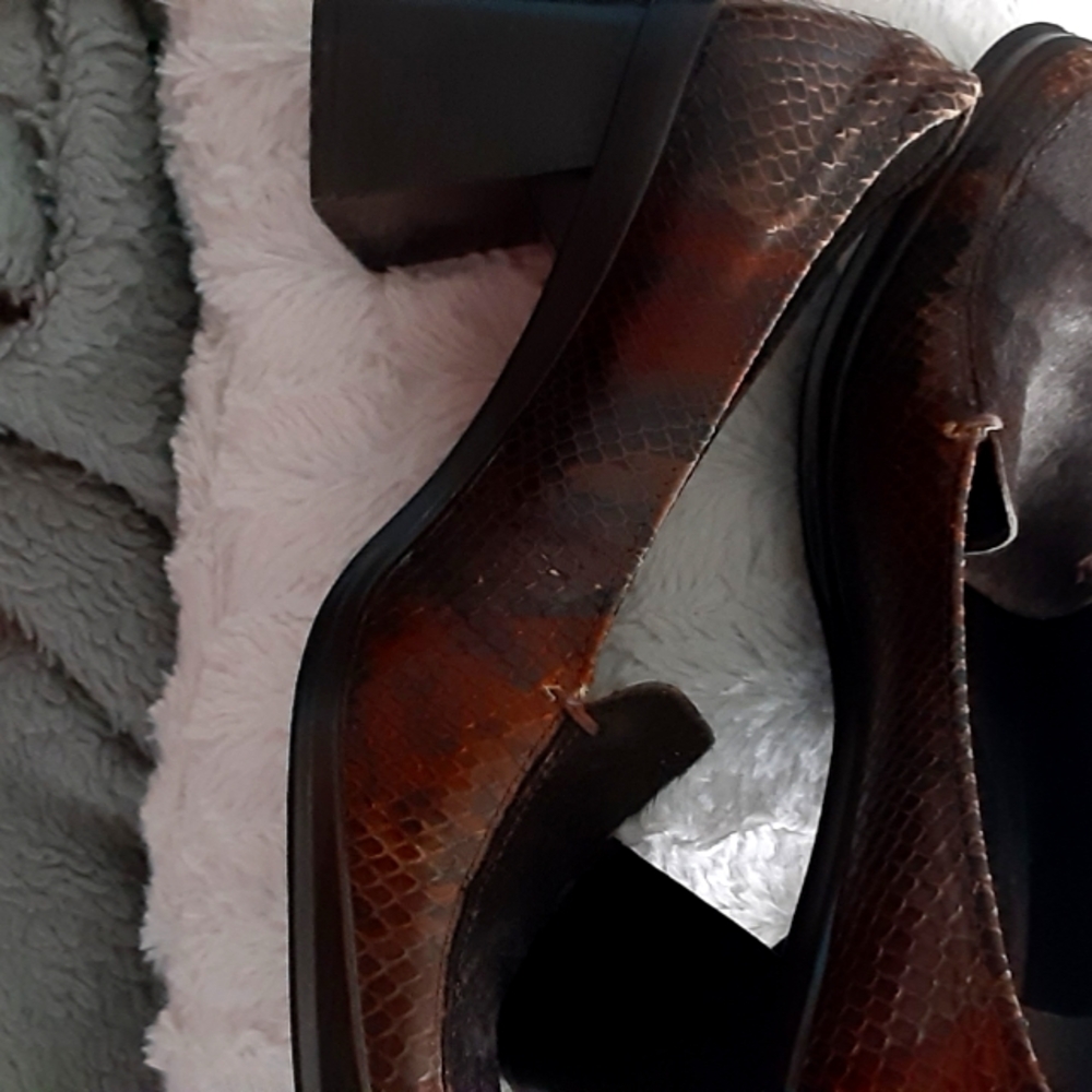 Elegant Brown Snakeskin Women's Shoes